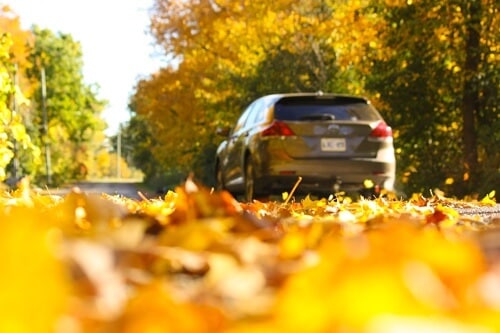Top Services to Do During Fall Car Care Month in Waupaca Wi with Little Wolf Automotive; image of the rear of an SUV driving in the autumn with leaves on the road