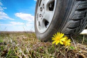 Prepare Your Tires for Spring 2023 | Little Wolf Automotive in Plover, WI. Image of a small yellow flower under big car wheel. Concept image of tire services for spring.