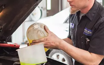 Oil and Lube Services by Little Wolf Auto. Image of mechanic pouring oil into an engine.